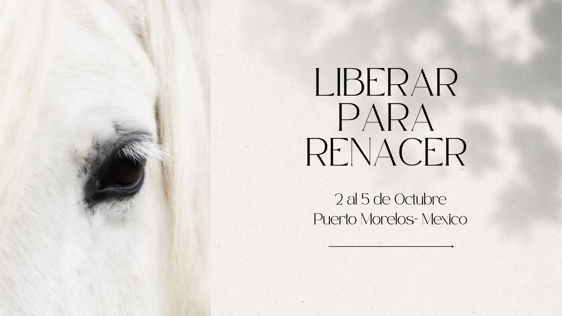 Taller con caballos: LIBERAR PARA RENACER