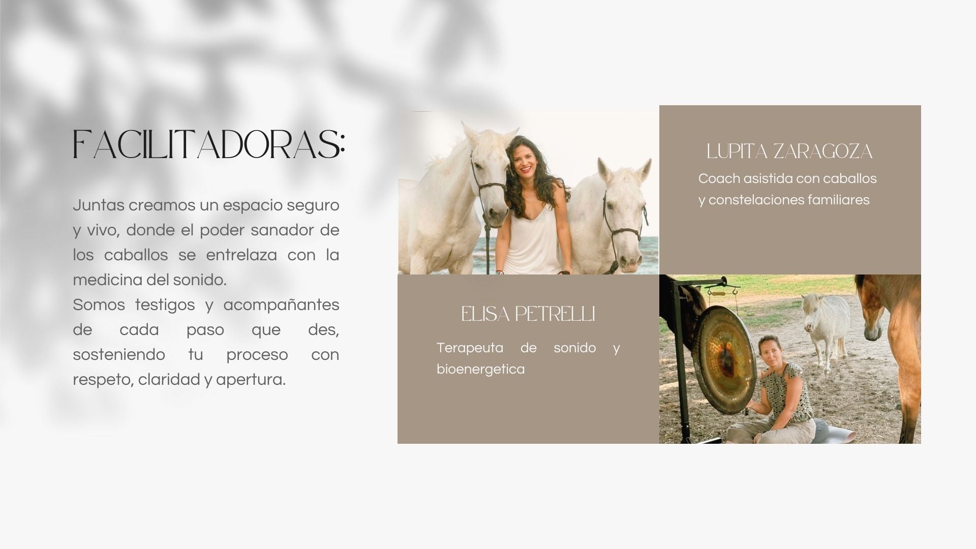 Taller con caballos: LIBERAR PARA RENACER