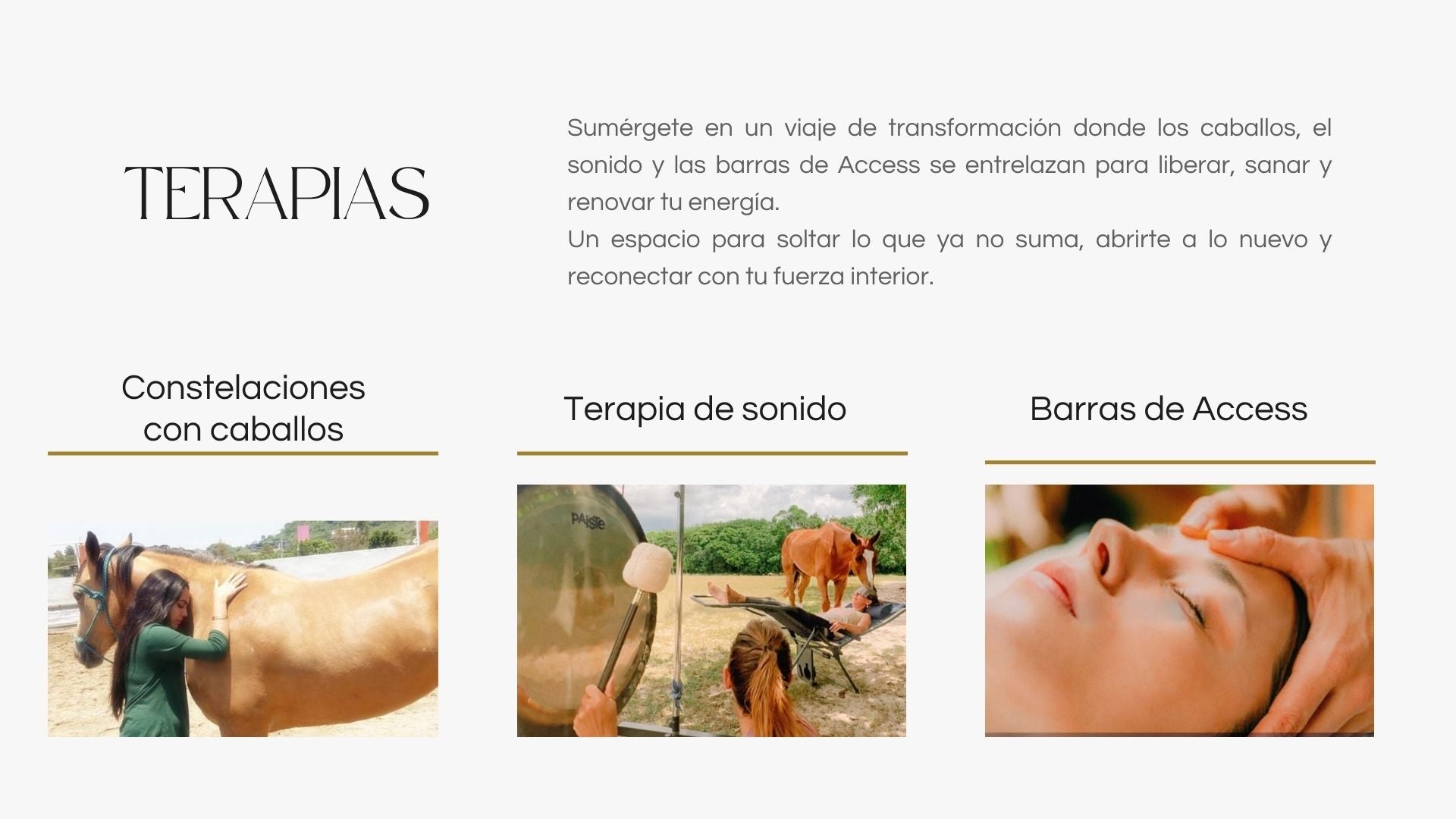 Taller con caballos: LIBERAR PARA RENACER