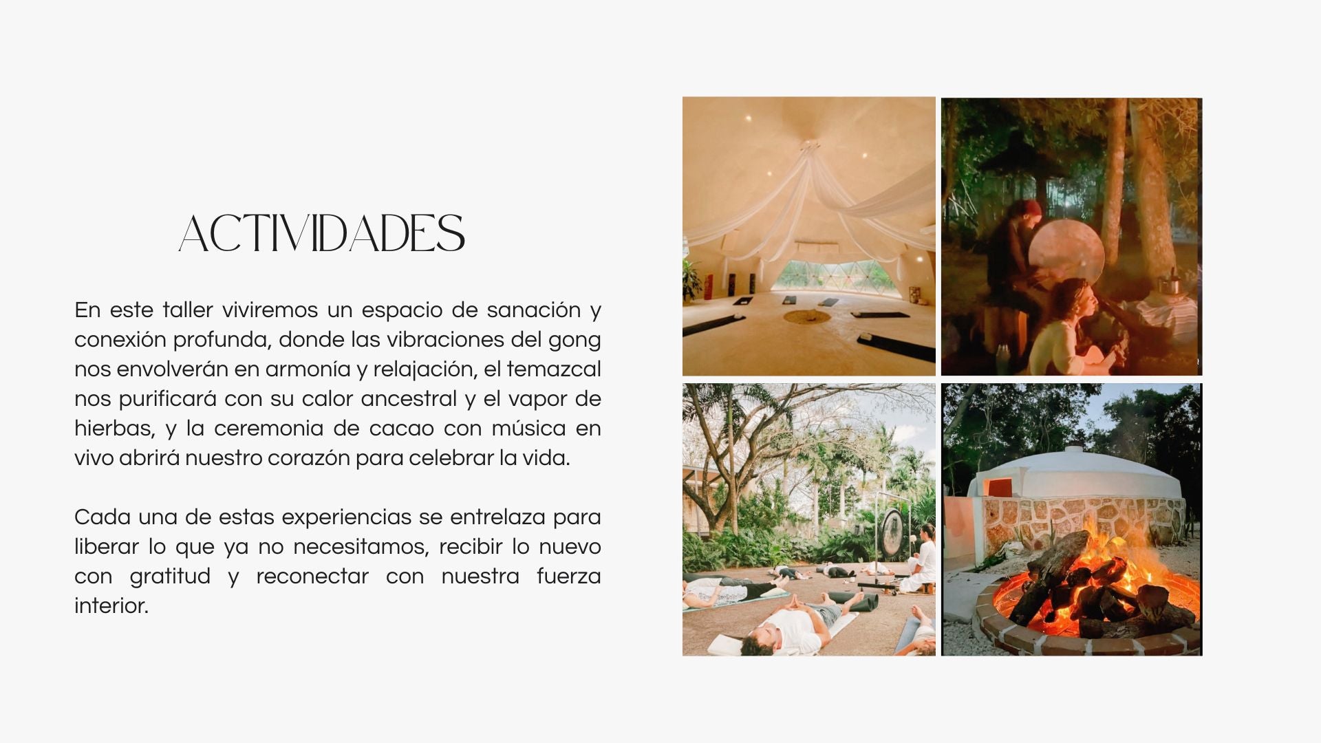 Taller con caballos: LIBERAR PARA RENACER