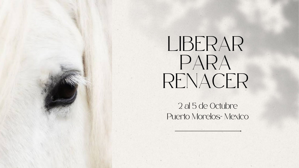 Taller con caballos: LIBERAR PARA RENACER