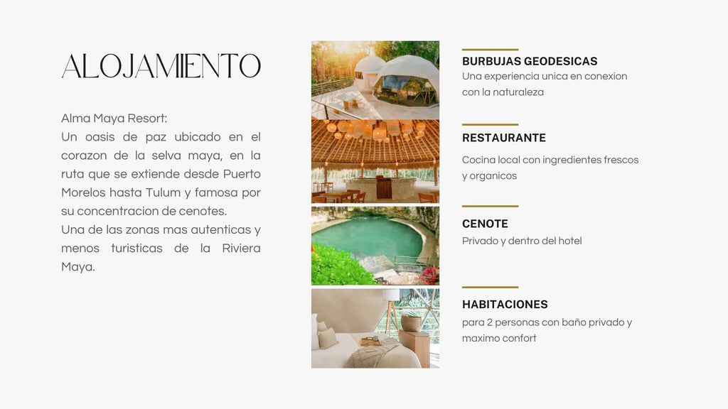 Taller con caballos: LIBERAR PARA RENACER